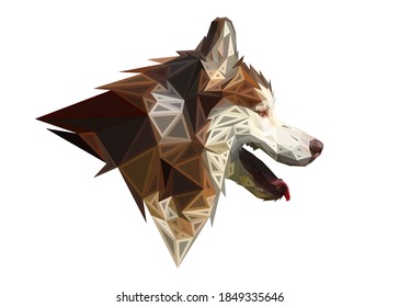 Low poly bold framed art of a brown siberian husky in high details. Vector animal triangle geometric illustration. Abstract polygonal art. With white color background.
