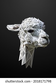 Low poly bold framed art of an alpaca head in high details. Vector animal triangle geometric illustration. Abstract polygonal art. With black color background.