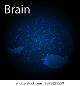 Low poly brain or Artificial intelligence concept, Low poly abstract digital human brain,  Low polygonal wireframe blue illustration on dark background. Lines and dots.