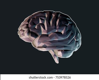 Low poly brain illustration isolated on dark background