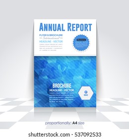 Low Poly Brochure, A4 Flyer Document and Vector Background. Corporate Leaflet, Textbook Cover Design. Image Add Feature Print Ready Business Pamphlet or Polygonal Booklet Template