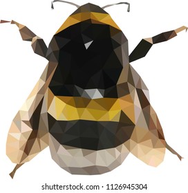 Low poly bumble bee, Bumble bee from triangles, vector graphics bee