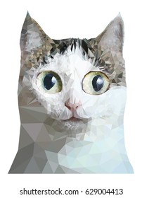 low poly cat close up portrait isolated on white