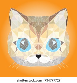 low poly cat in orange background