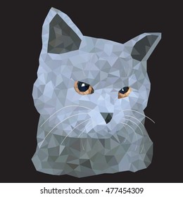 Low poly cat. Triangle polygonal illustration of british cat. Flat design creative. Vector image on dark background.