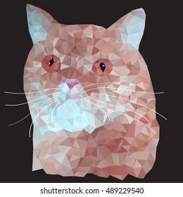 Low poly cat. Triangle polygonal illustration of red headed cat. Flat design creative. Vector image on dark background.