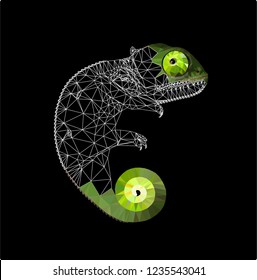 Low poly chameleon on black background, vector illustration EPS 10 isolated.  Polygonal style and wireframe trendy modern logo design. Suitable for printing on a t-shirt.