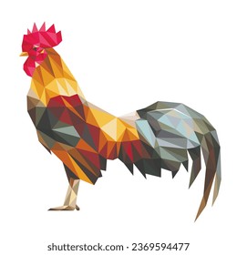 Pollo bajo con fondo blanco