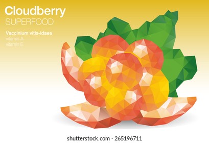 Low poly cloudberry vector.