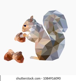 Low poly colorful squirrel holding acorn ,animal geometric concept,vector.	
