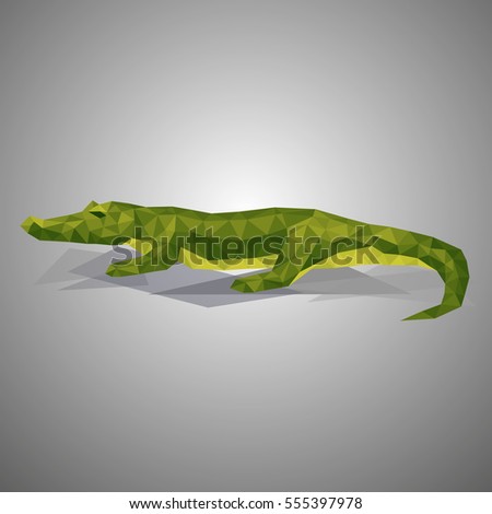 Low poly crocodile . Vector illustration in polygonal style. Beautiful animal on gray background.