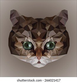 Low poly design. Cat face illustration.