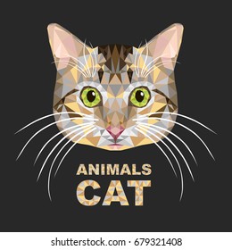 Low poly design. Cat illustration. Vector