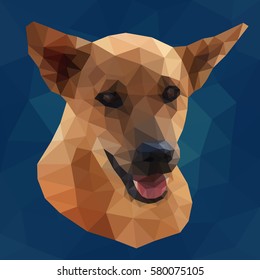 Low poly design. Colorful geometric vector illustration of polygonal dog