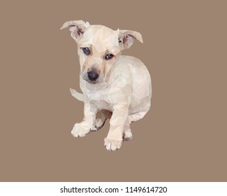 Low poly design. Dog illustration. Funny puppy vector. Polygonal animal.
