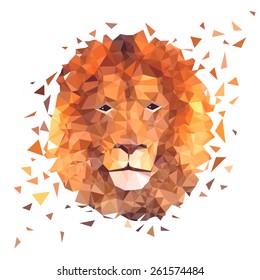 Low poly design. Lion illustration.