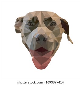 Low Poly design. Pit Bull illustration 