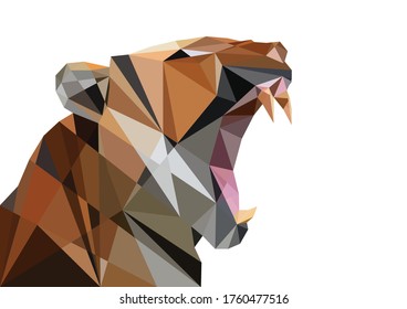 Low poly design style illustration of Beautiful tiger face. Isolated vector image.Sumatran Tiger Roaring.A portrait of a beautiful big cat known as the tiger on white background.