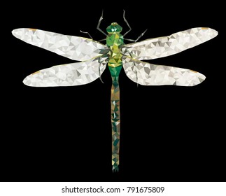 Low poly dragonfly, Dragonfly from triangles, Vector graphics, Polygonal dragonfly, dragonfly illustration with black background