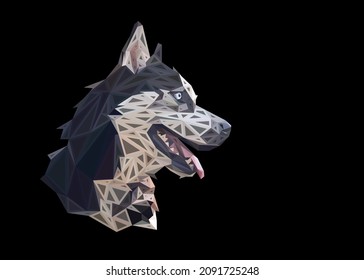 Un pozo bajo grabado arte de un retrato husky en detalles. Ilustración geométrica del triángulo de los animales vectores. Resumen de arte poligonal con fondo de color negro.