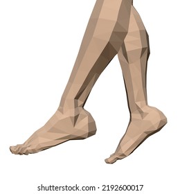 Low poly female legs model isolated on white background. 3D. Vector illustration.