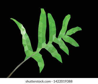 Low Poly Fern Leaf, Isolated on Black Background, Triangular Foliage Vector Illustration