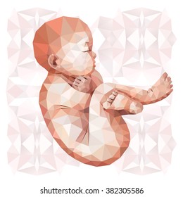 Low poly fetus isolated on triangular background. Polygonal baby. 