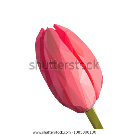 Low Poly Flower. Pink Vector Tulip. Polygonal Image