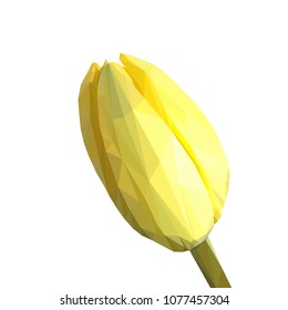 Low Poly Flower. Yellow Vector Tulip. Polygonal Image