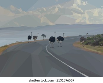 Low poly, geometrical, illustration of 6 Ostriches standing on a road.