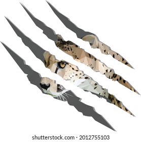 Low poly, geometrical, illustration of a African Cheetah from the side isolated inside of claw marks. Part of the African Big Five