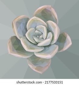 Low poly, geometrical, illustration of a faded green succulent on a teal geometrical background.