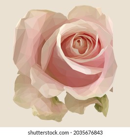 Low poly, geometrical, illustration of a peach rose isolated on a light pink peach background