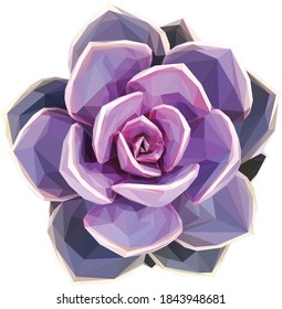 Low poly, geometrical, illustration of a purple succulent