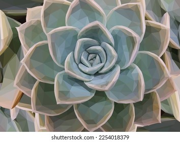 Low poly, geometrical, illustration of a teal succulent in a garden bed.