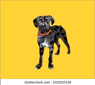 Low poly gray black dog vector illustration in 80s color palette style. Beautiful curious puppy of American bandog with white chest.