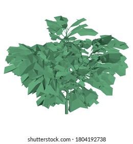 Low poly green tree with many leaves isolated on white background. 3D. Vector illustration