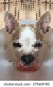 Low poly head chihuahua