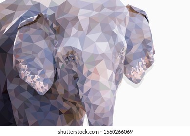 Low poly the head of elephant on white background. Closeup and copy space for text. Polygonal vector illustration design.