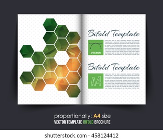 Low Poly Hexagon Frames Bi-Fold Brochure Design. Corporate Leaflet, Cover Template