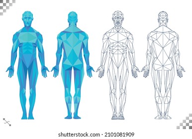 low poly high tech blue color human body triangles and black line art transparent background. Based on male muscle patterns and physiology back and frontal