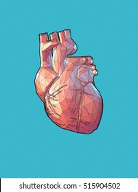 Low poly human heart stylized with wireframe edge on turquoise background