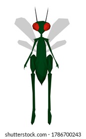 Low poly humanoid dragonfly. The green beetle stands on two legs. 3D. Vector illustration