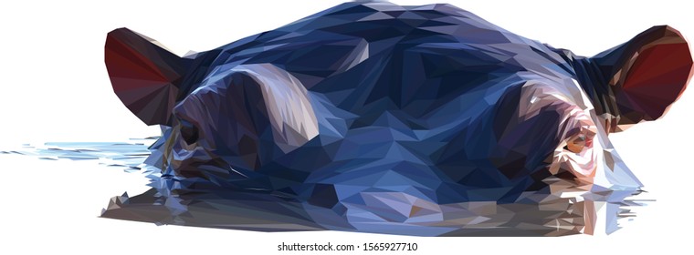 Low poly illustration of an African Hippo isolated