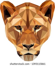 Low poly illustration of an African Lioness