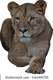 Low poly illustration of an African Lioness lying down