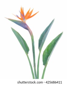 Low poly illustration Bird of paradize flower with green leaves