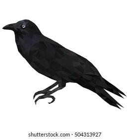 Low poly illustration of black raven or  bird crow - isolated decorative element. 