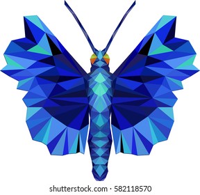 Low poly illustration of blue butterfly