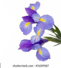 Low poly illustration of blue irises flowers